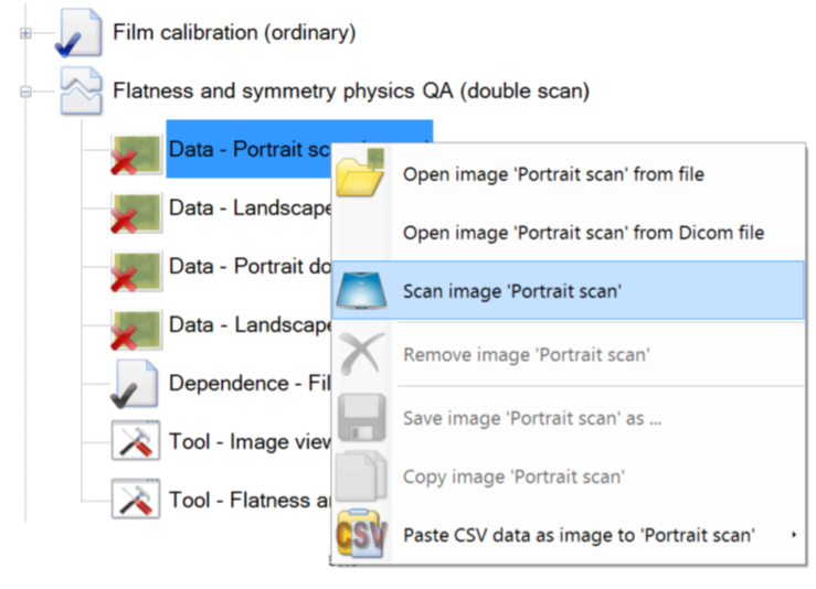 Image showing the selection of the option: Scan image 'portrait scan'.