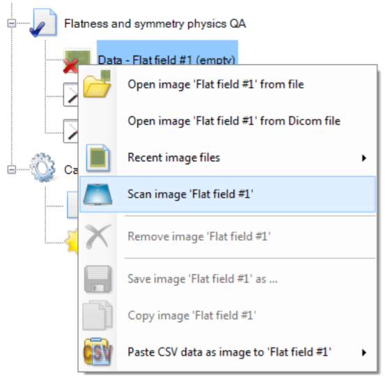 Image showing the selection of the 'Scan image Flat field #1' option.
