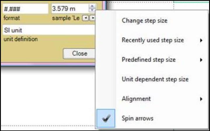 Screenshot of spin arrows option.