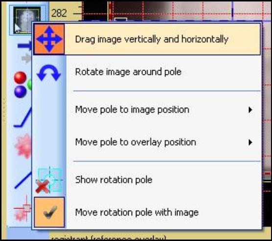 Screenshot of 'Drag image vertically and horizontally' option.