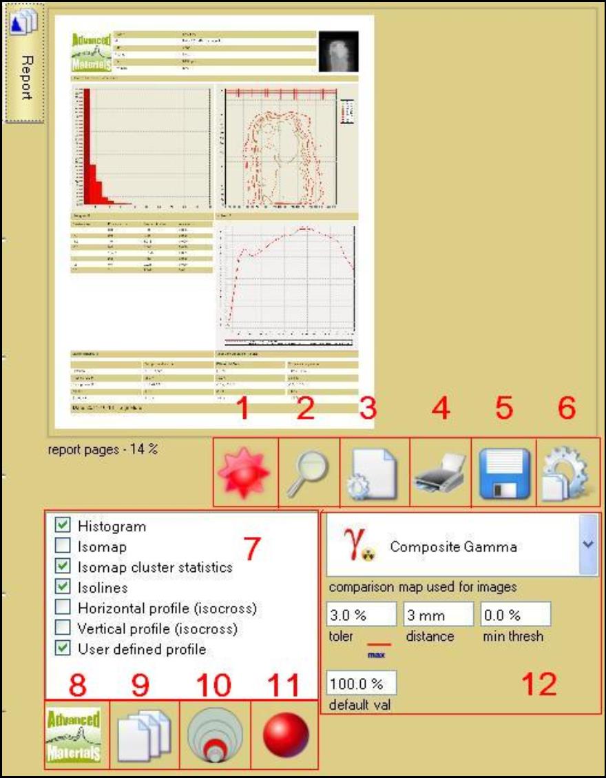 Screenshot of report panel.