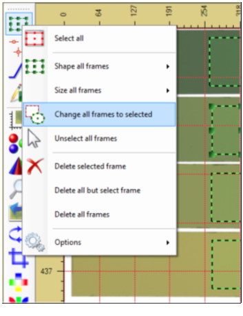 Screenshot of frame options like 'Change all frames to selected'.