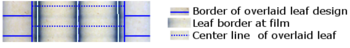 Solid blue line represents border of overlaid leaf design. Gray represents leaf border at film.  Dotted blue line represents center line of overlaid leaf.