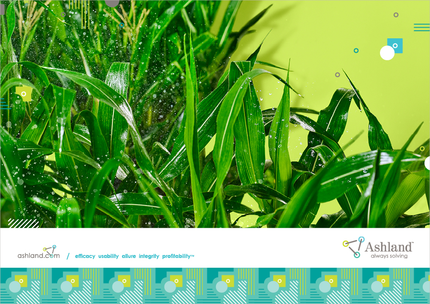 AG_Crop care corn_spray_A4_lockup.jpg