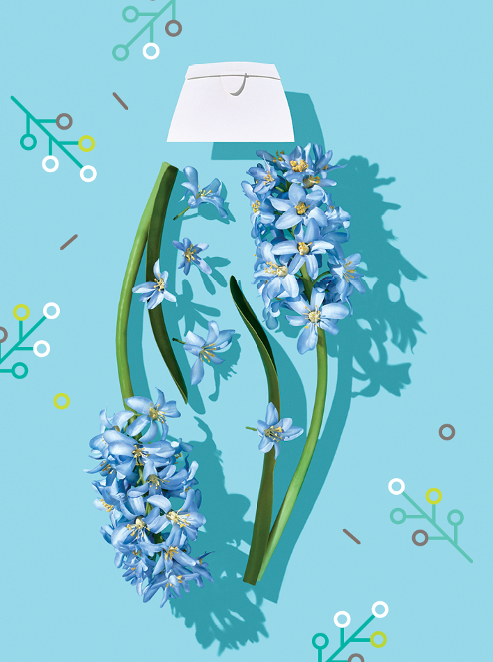 Botanicals-Hyacinth-blue_print_72dpi_RGB.jpg