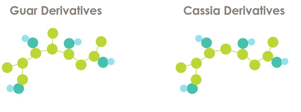 COR21 tech - saccharides 2b.jpg