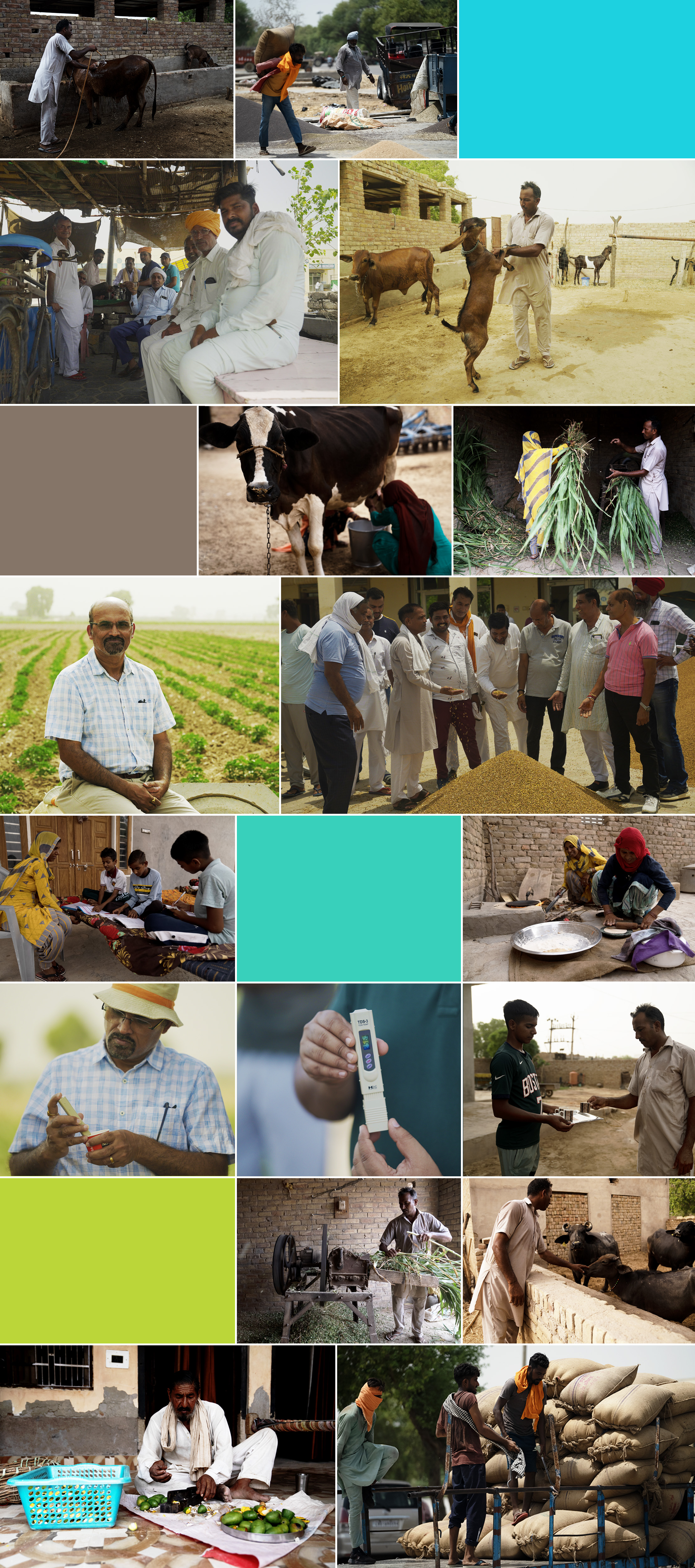 COR22 esg india farming.jpg