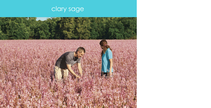 ESG23-sourcing-rn-clary-sage.jpg