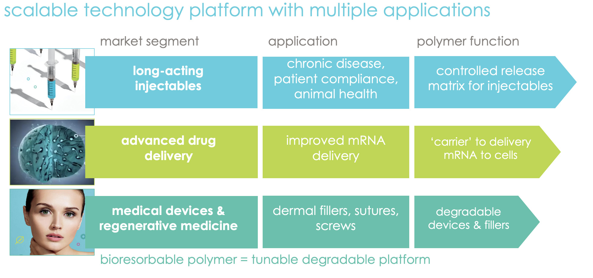 bioresorbable slide 1.jpg