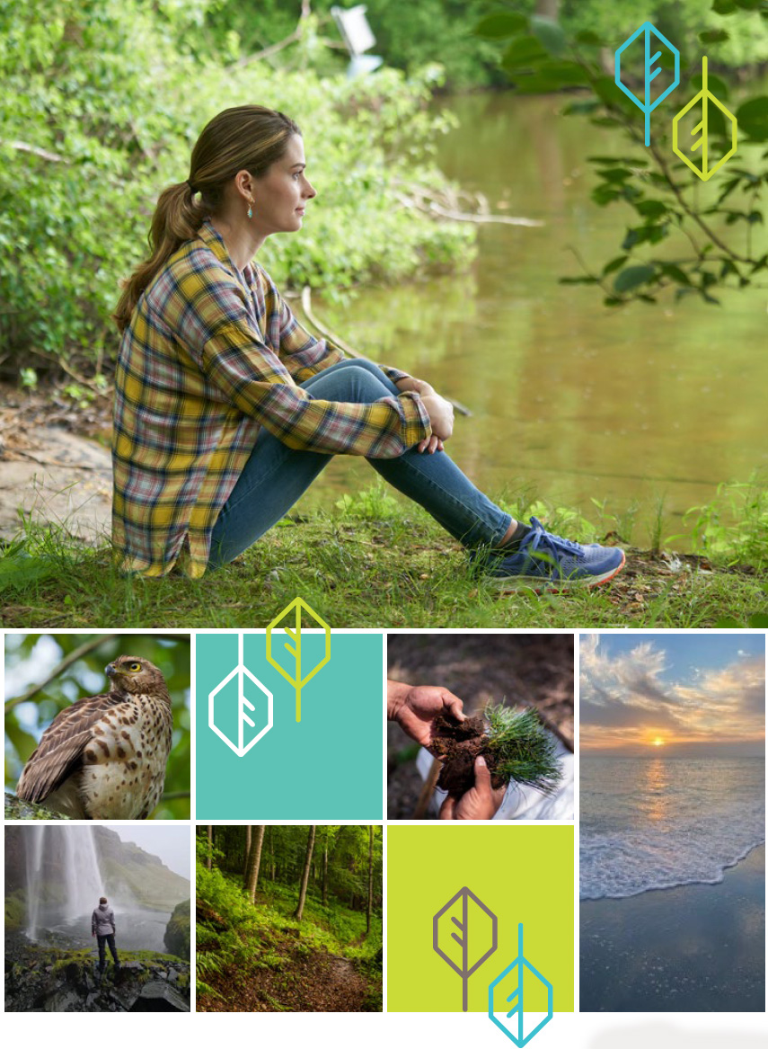esg-forest-fy22.jpg