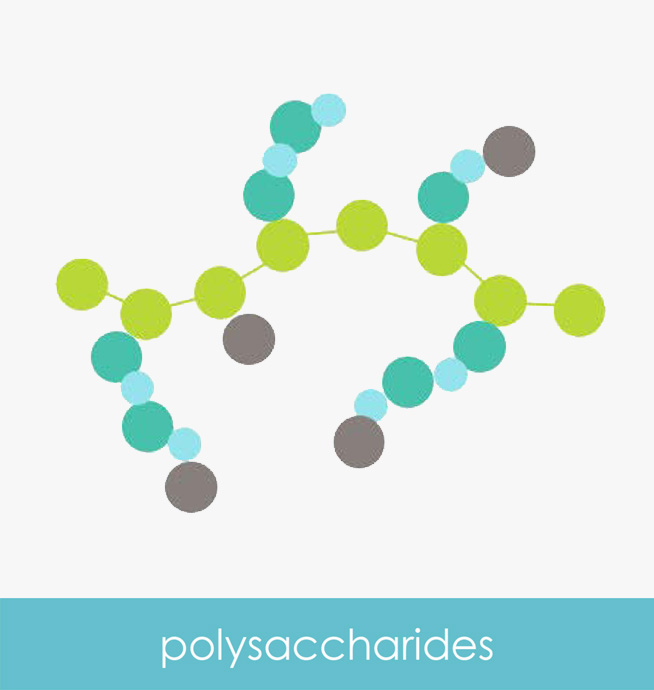 feat prod - polysaccharides1111.jpg