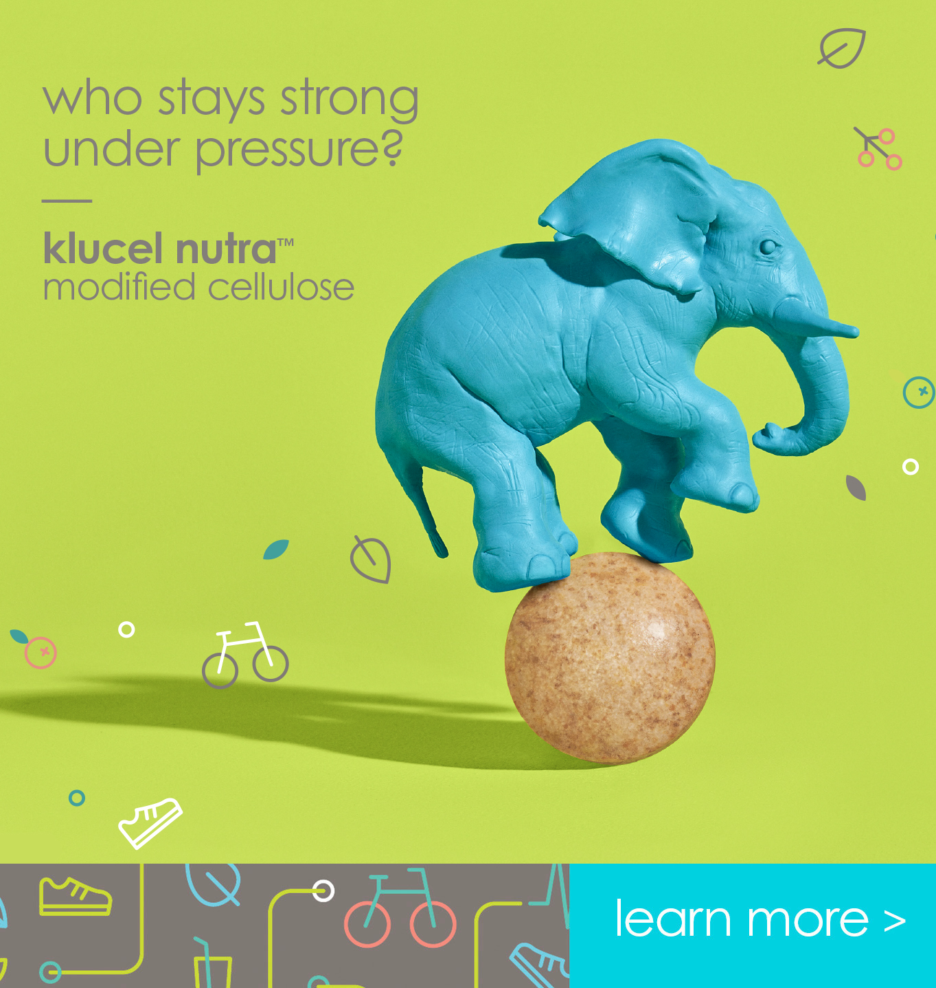 feat sols - klucel nutra elephant.jpg