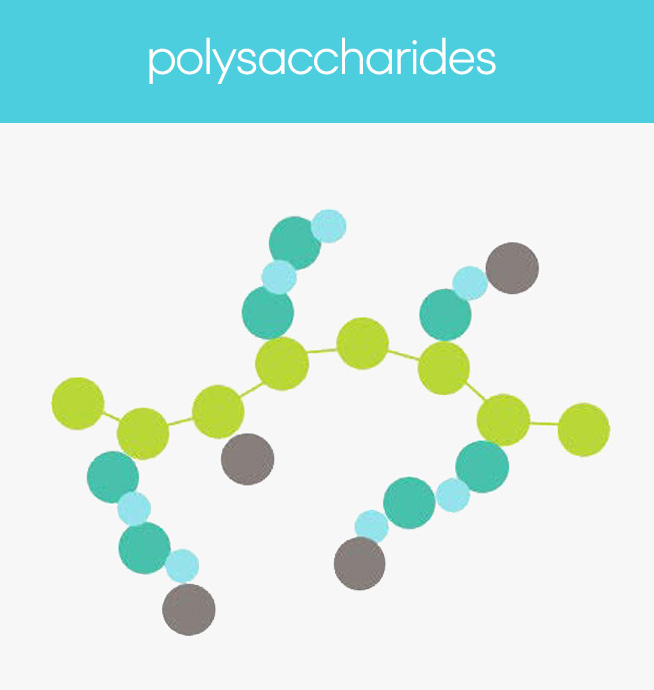 feat-prod-poly.jpg