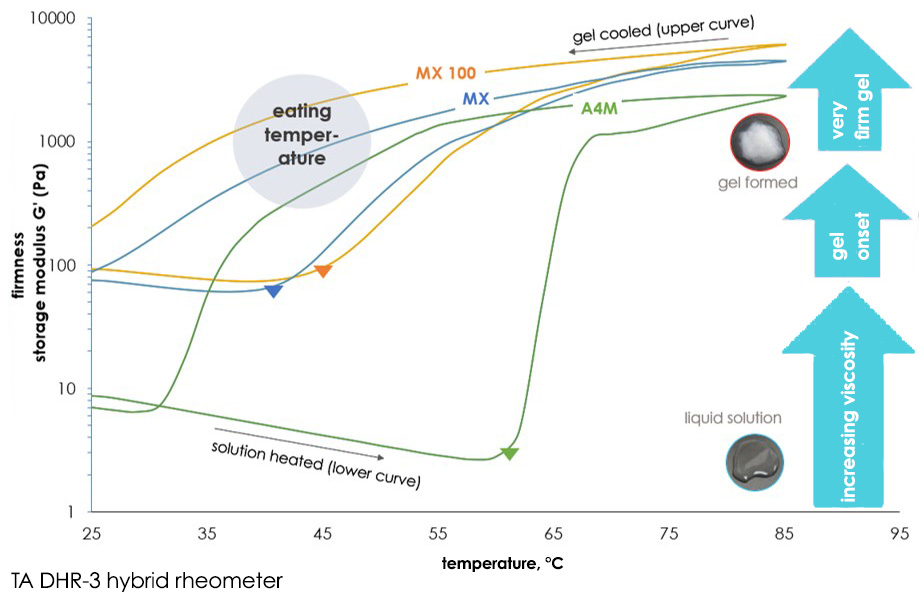 mx100 graph1 final.jpg