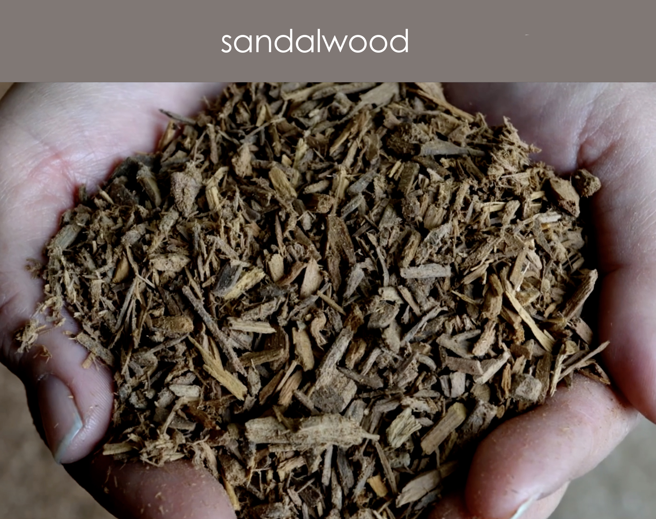 sourciing - sandalwood short.jpg