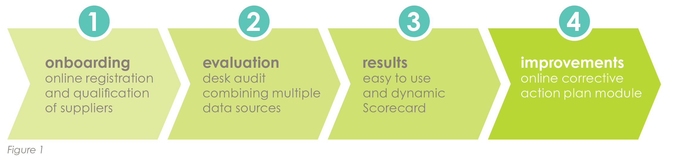 sust ecovadis pg graphic.jpg