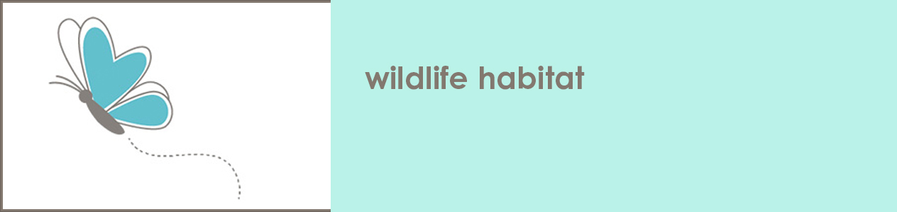 wildhabitat header 1b.jpg